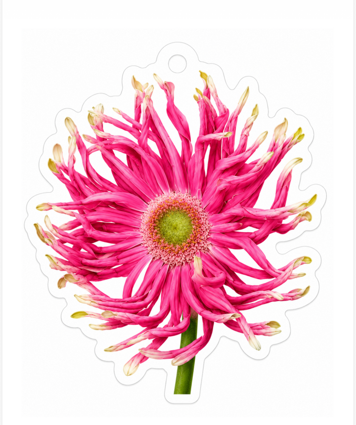 Message card